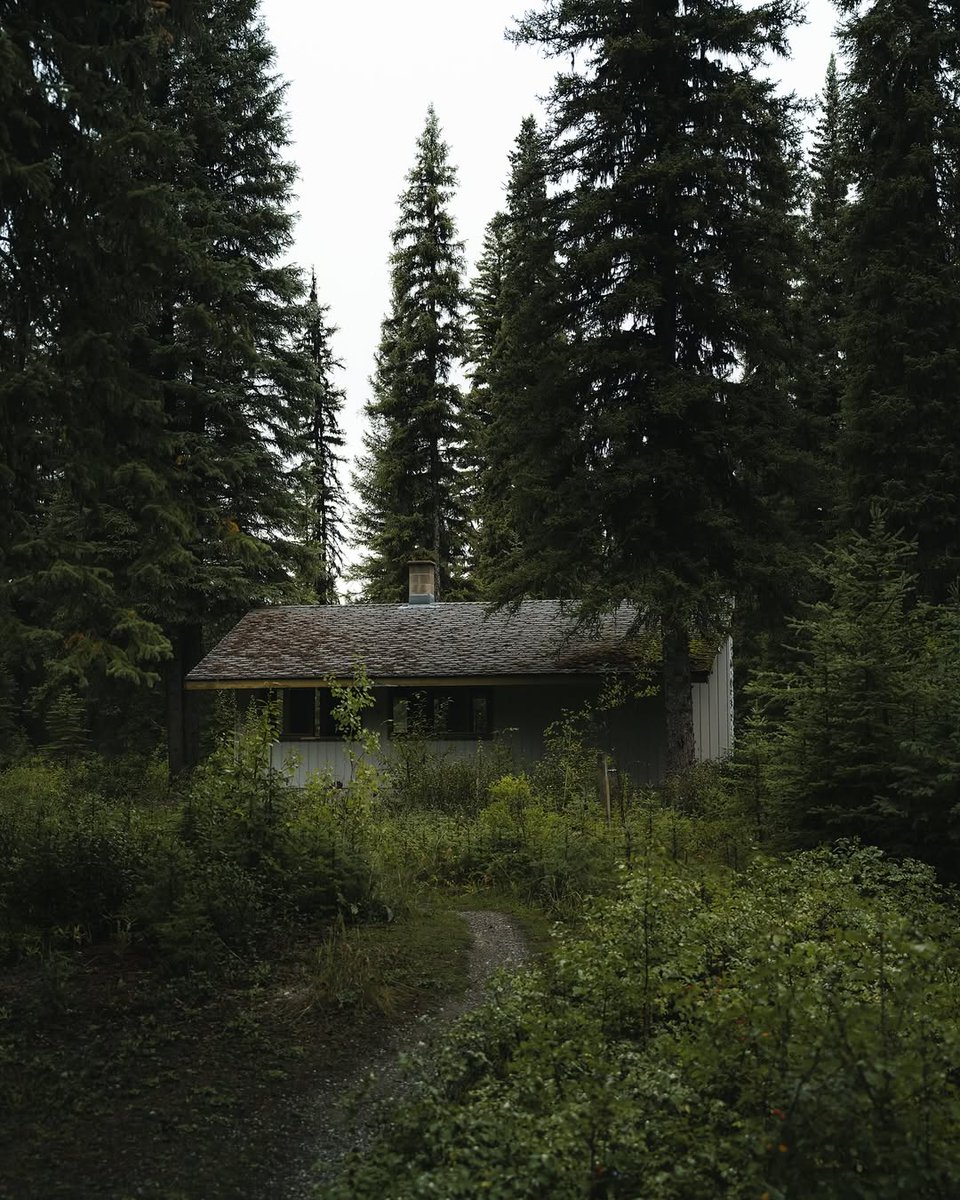 𝘄𝗮𝗻𝗱𝗲𝗿𝘁𝗿𝗮𝘃𝗲𝗹𝘀 tweet media