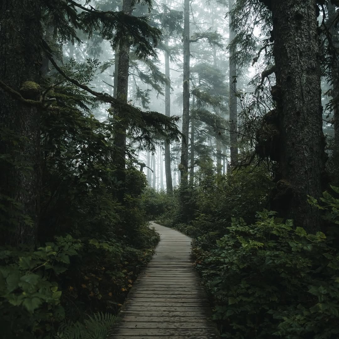 𝘄𝗮𝗻𝗱𝗲𝗿𝘁𝗿𝗮𝘃𝗲𝗹𝘀 tweet media