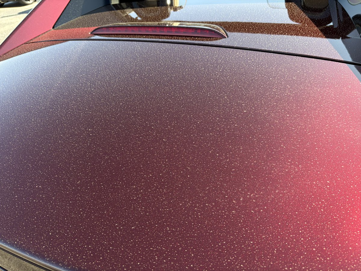 しゃーくれ@35周年車RF tweet media