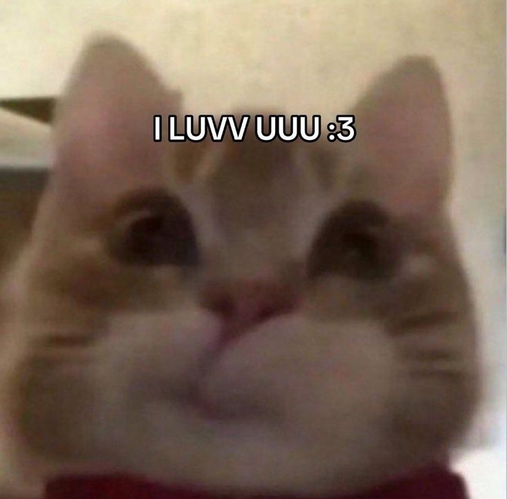 Anyway, happy women’s day untuk semua perempuan yang baca tweet ini. Thank you for your strength, your warmth, and everything you bring into this world. Semoga akan selamanya jadi perempuan kuat dan hebat. 💖