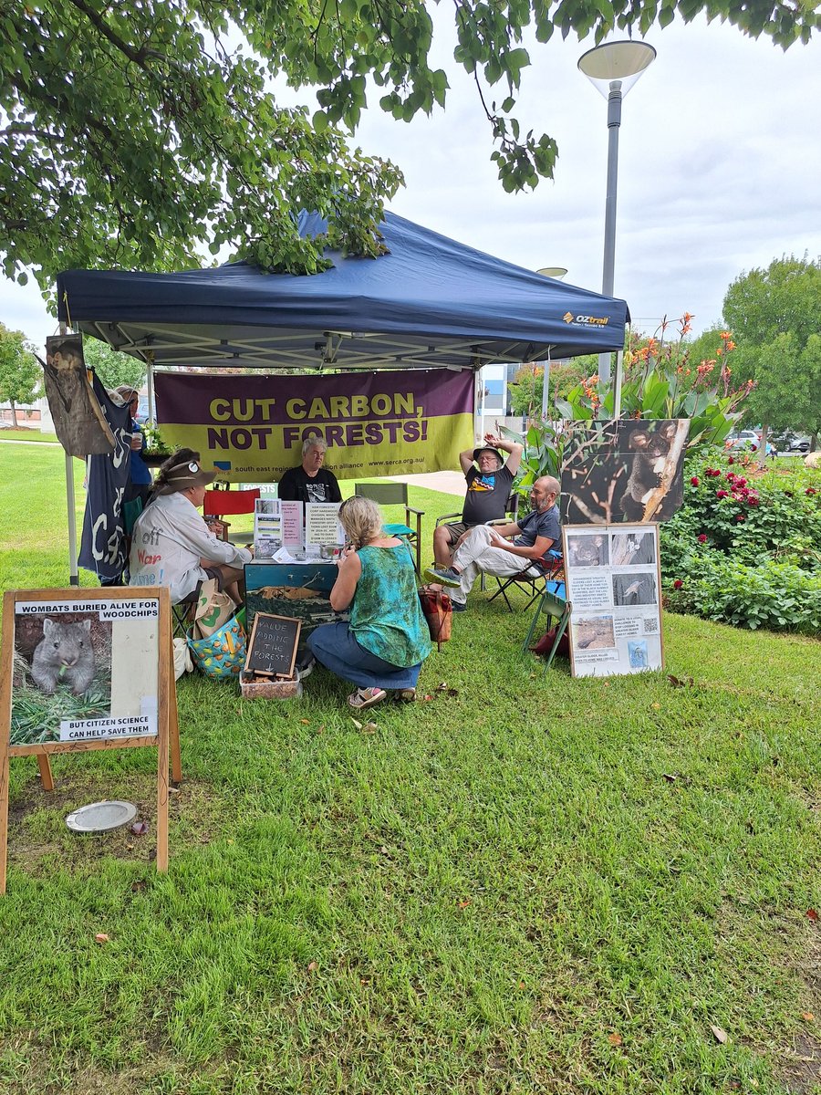 Harriett Swift tweet media