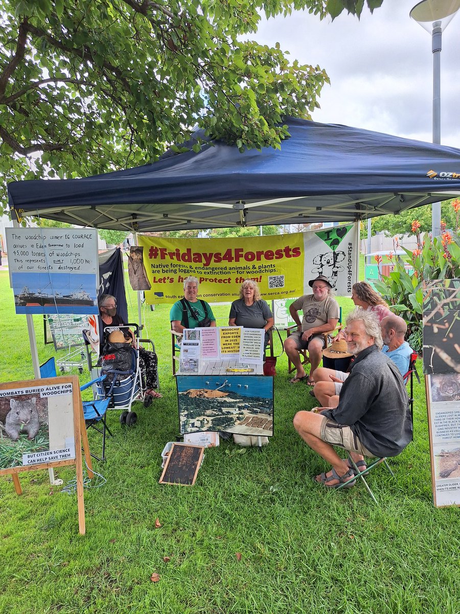 Harriett Swift tweet media