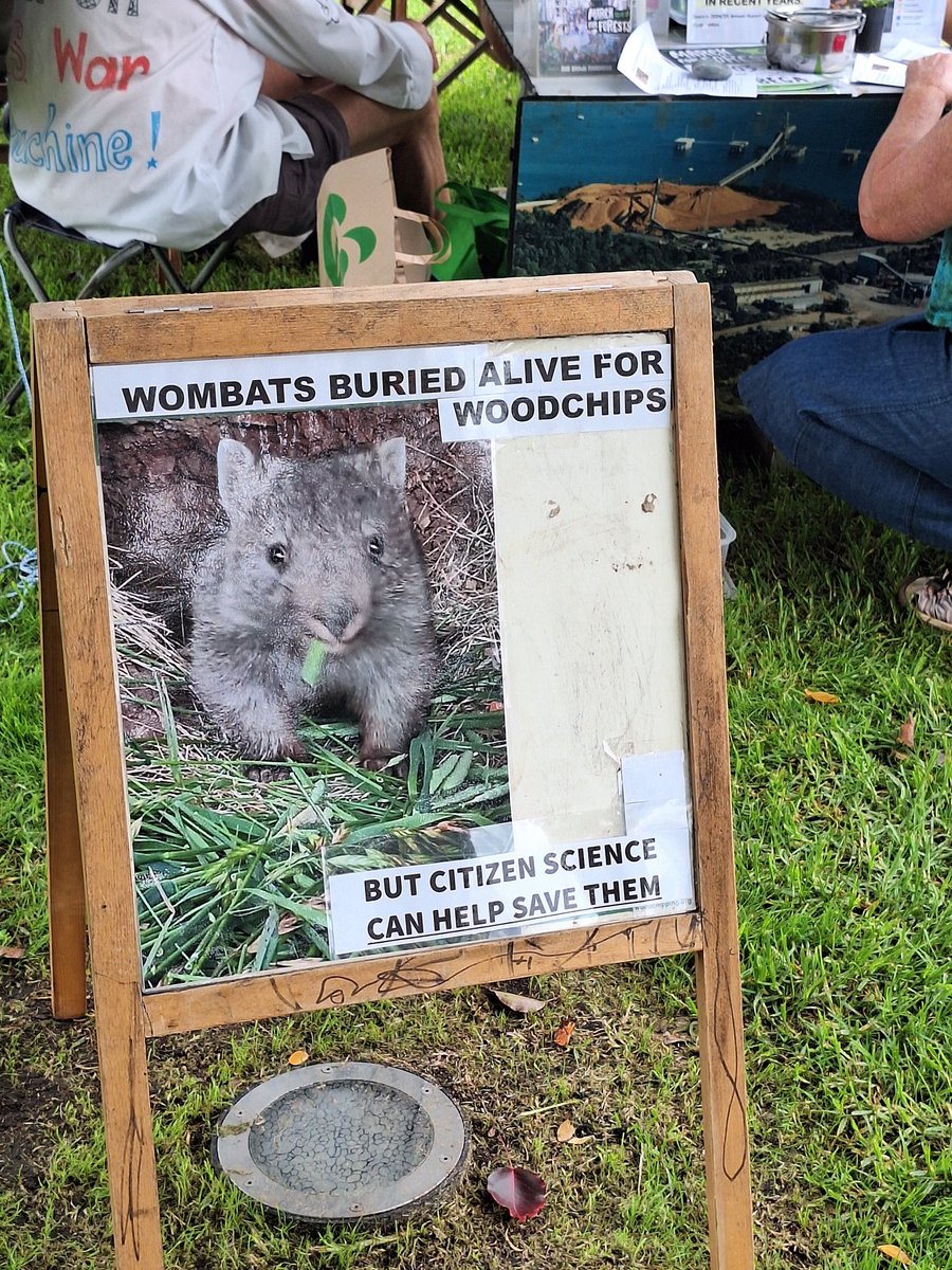 Harriett Swift tweet media