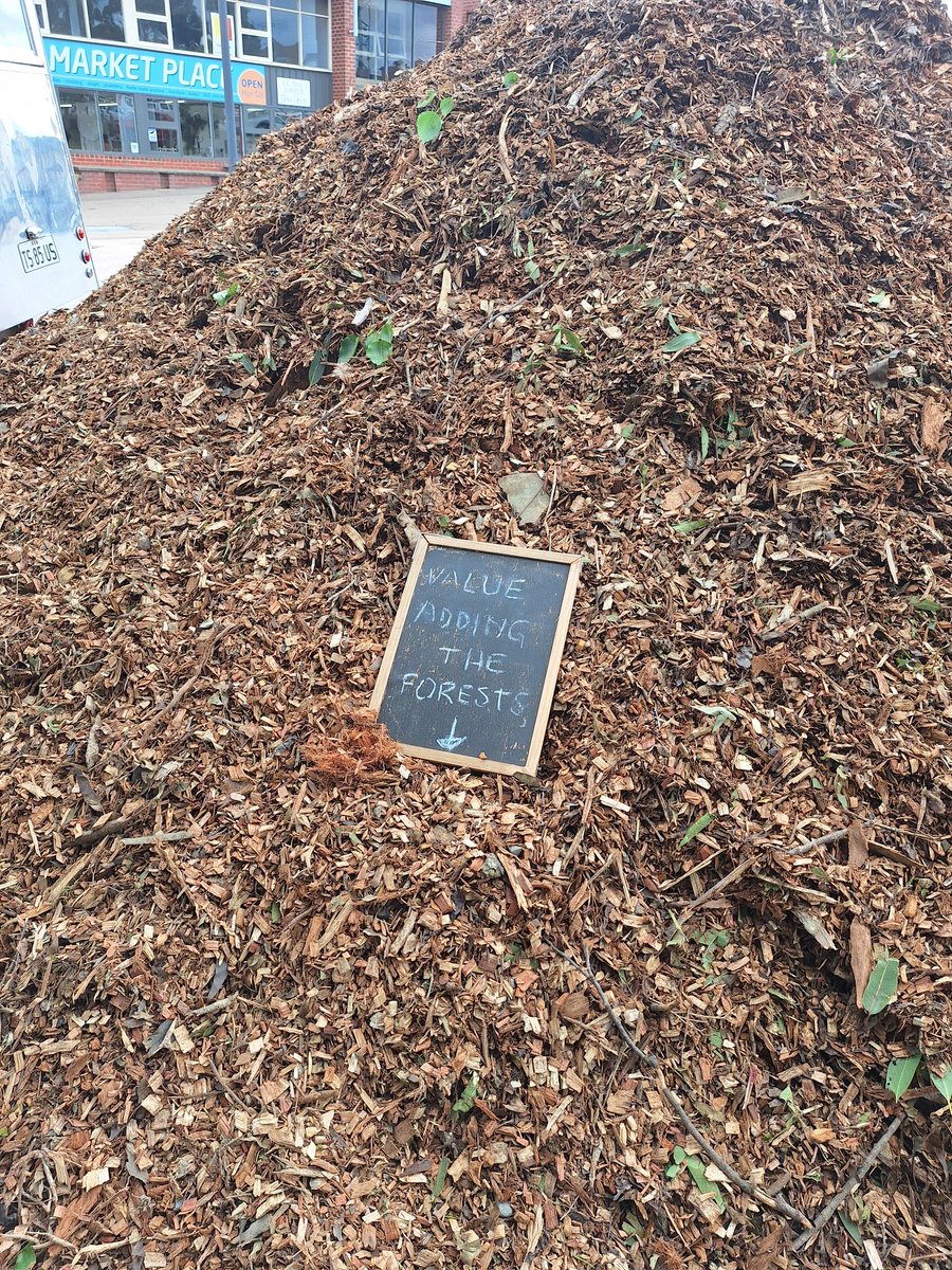 Harriett Swift tweet media