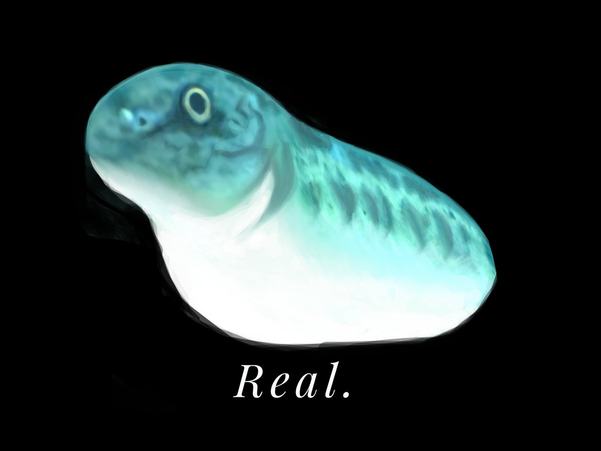 larvaloach's tweet photo. real.
#larvaloach #シマドジョウ虫 https://t.co/Fg997LoqgI