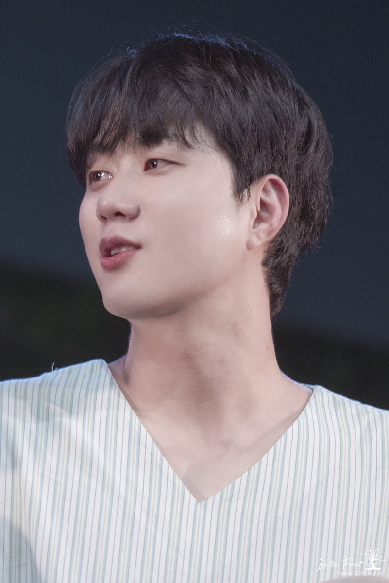 🌲❄Ice Tree Forest❄🌲 tweet media