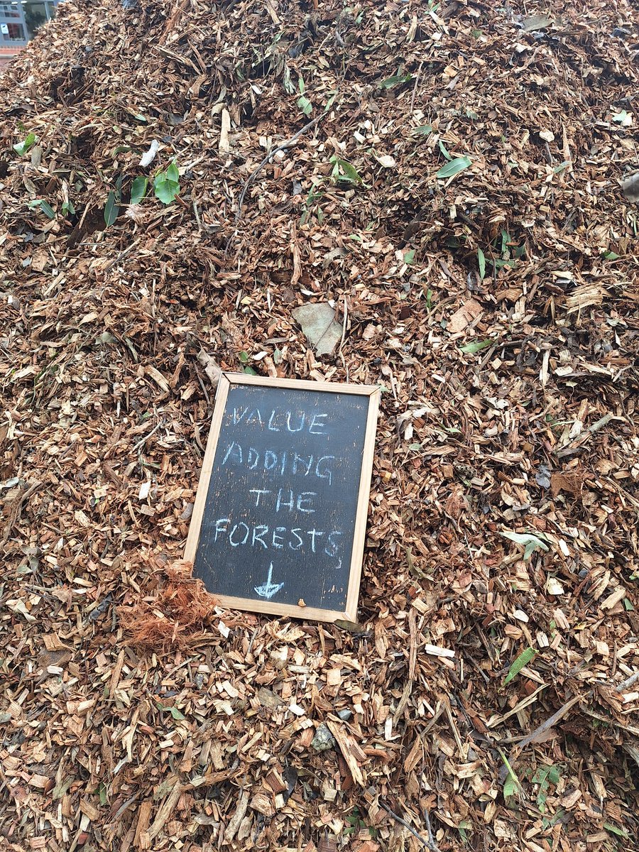 Harriett Swift tweet media