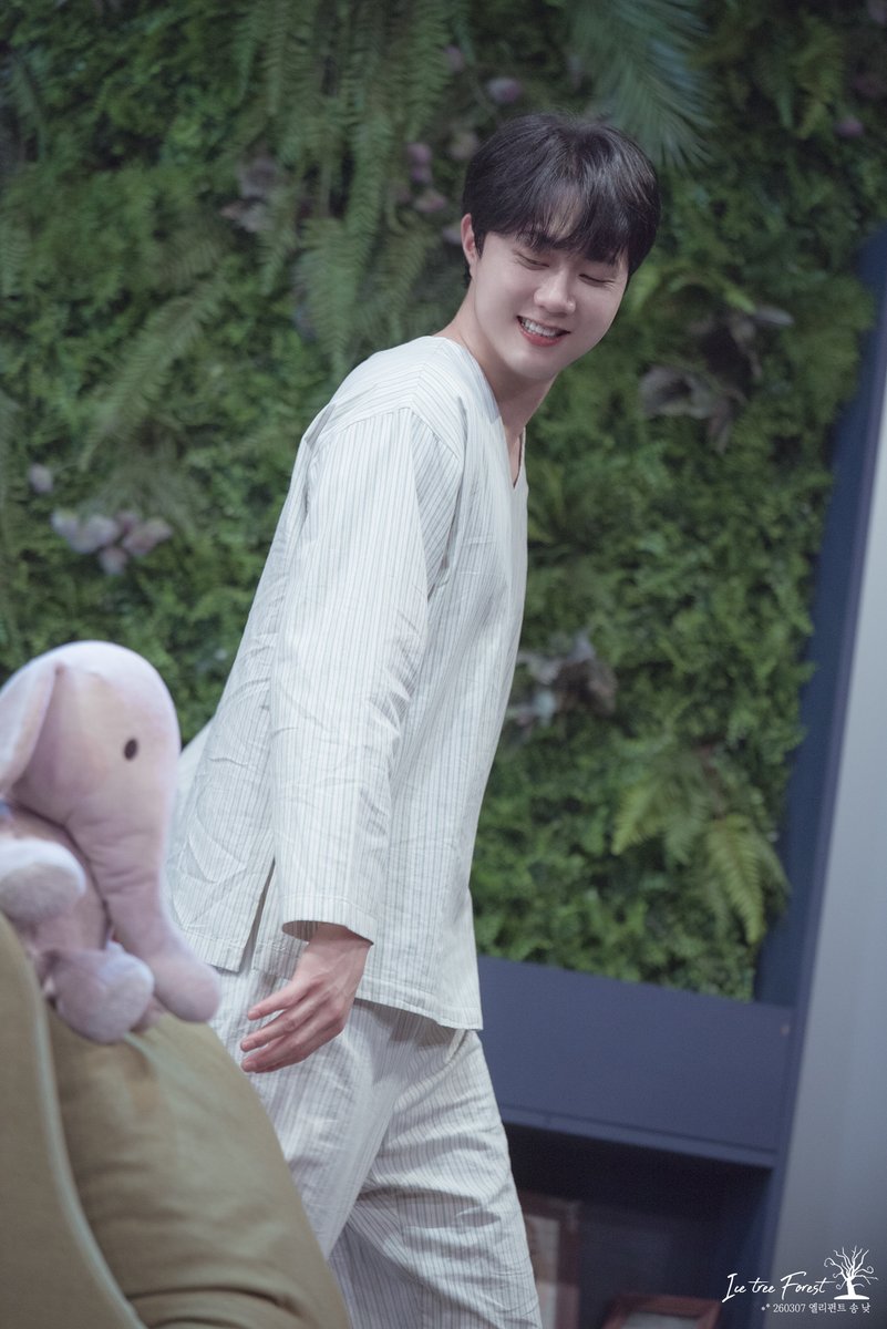 🌲❄Ice Tree Forest❄🌲 tweet media