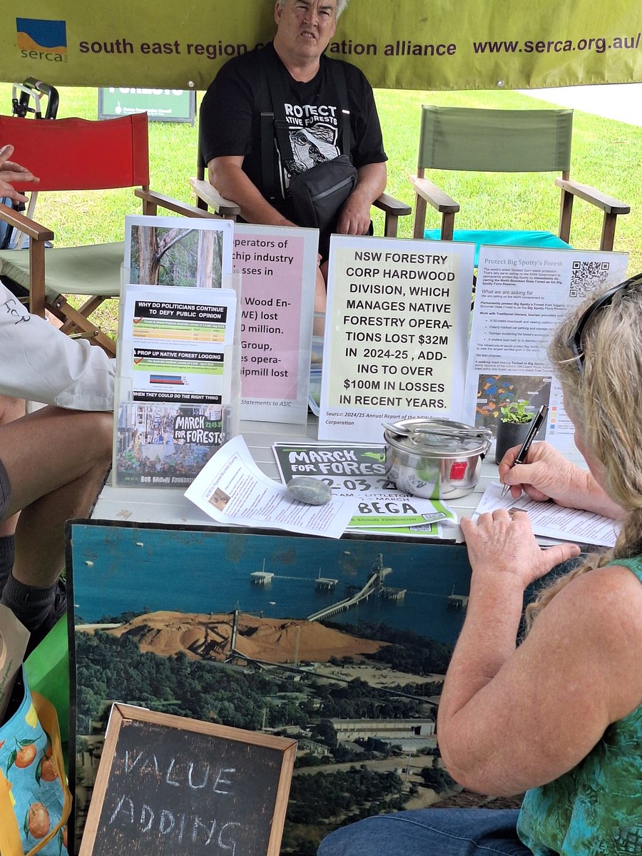 Harriett Swift tweet media