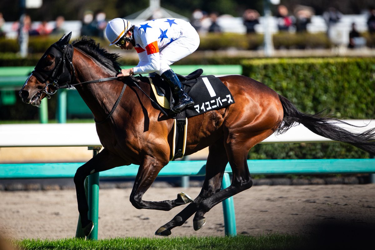 STYL🅾️/taku tweet media