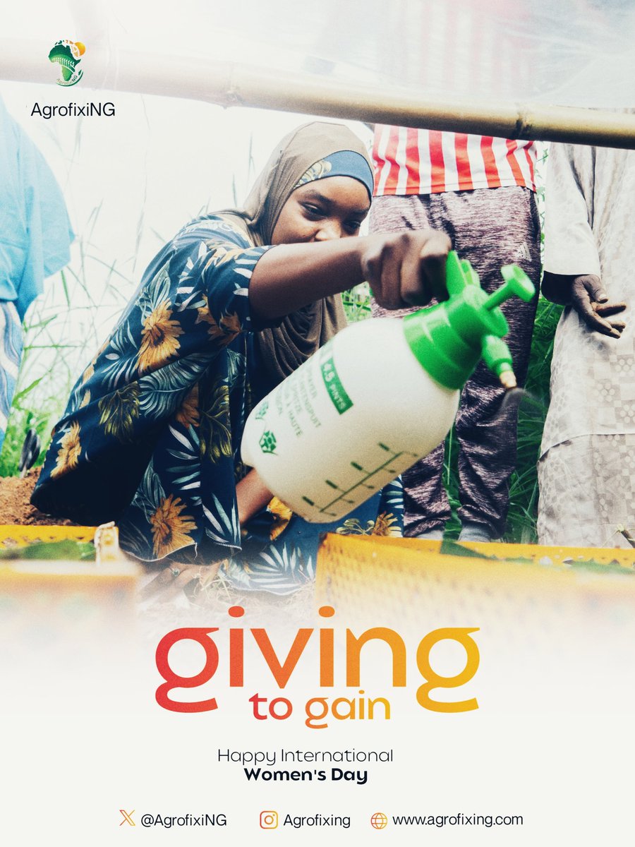 AgrofixiNG's tweet photo. What is placed in her hands never stays small. It grows, it scales, and it feeds a nation.

At AgrofixiNG, we celebrate the power, the virtue, and the strength of the women we work with every day. You are the true gain in every harvest.

Happy #InternationalWomensDay2026 https://t.co/HLprhjkjrl