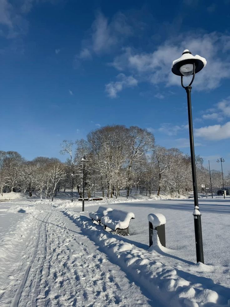 Good morning friends, happy Sunday to everyone may your blessings begin to manifest 🙏