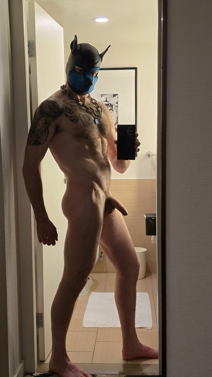 Pup Rypple tweet media