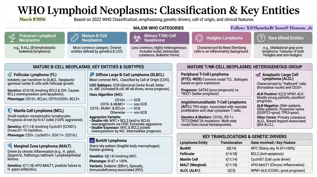🩸Major WHO Categories of Lymphoid Neoplasms 🩸

Memory pneumonic🧠
"🌃Starry-sky burps (macrophages eat debris), MYC t(8;14) = sugar rush, Ki67=100%, fastest growing toddler ever!"

1. Core Principles of Classification

-Integrated Diagnosis: Combines Morphology (architecture),