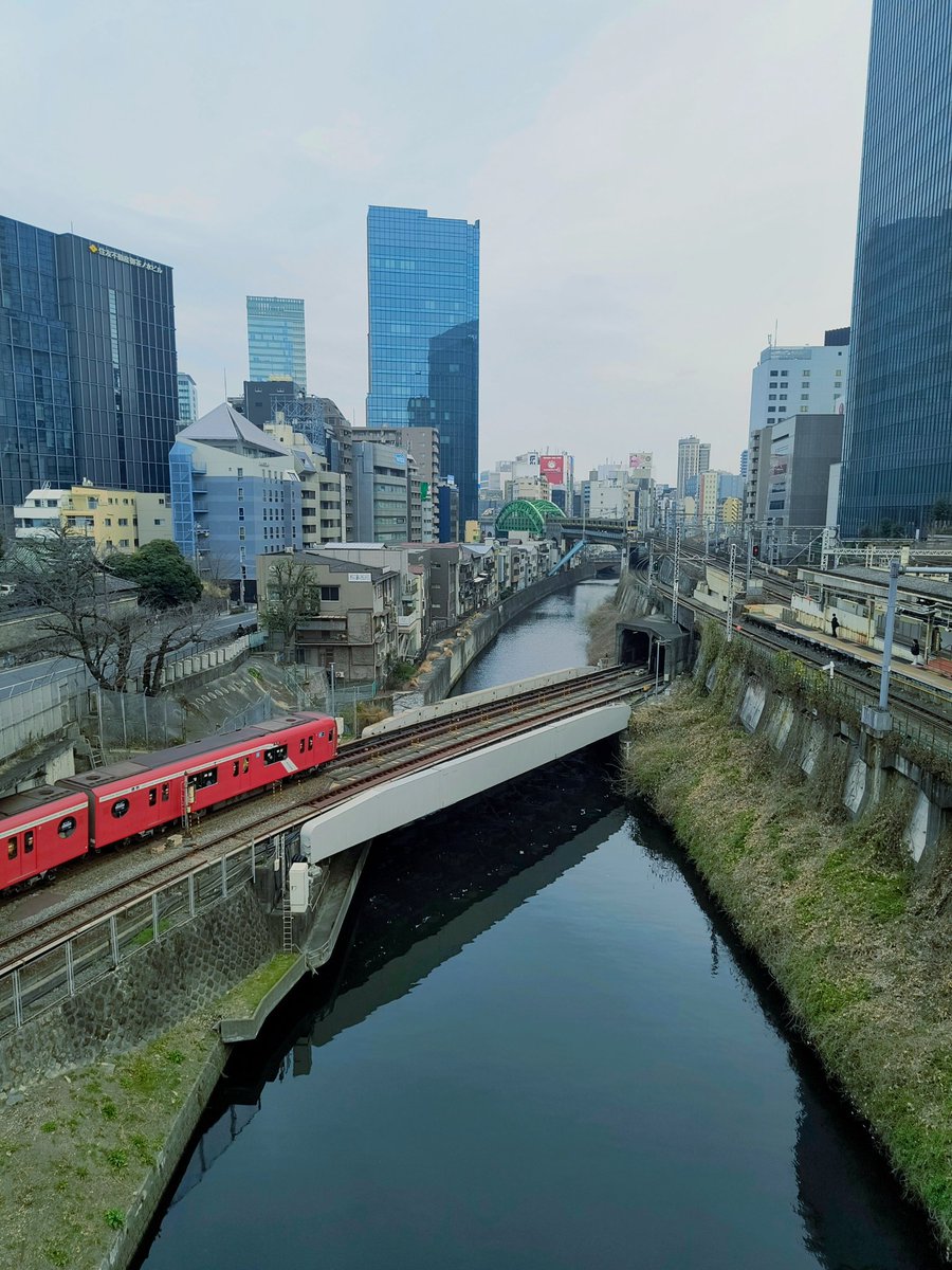 神託機械 tweet media
