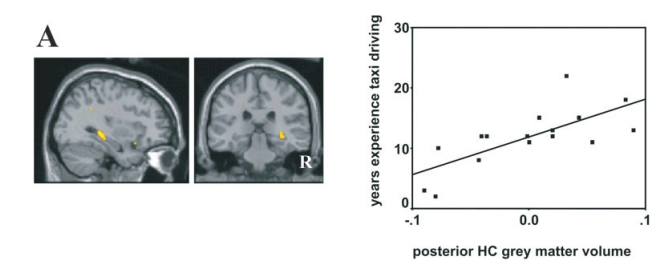 Siim Land tweet media