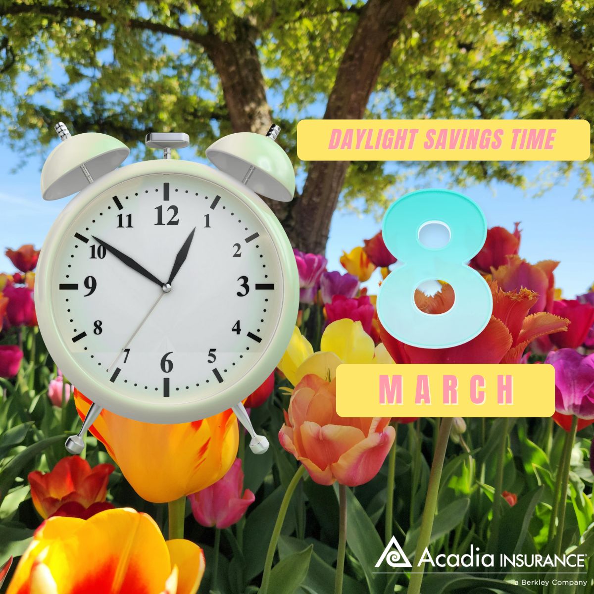 AcadiaInsurance tweet media