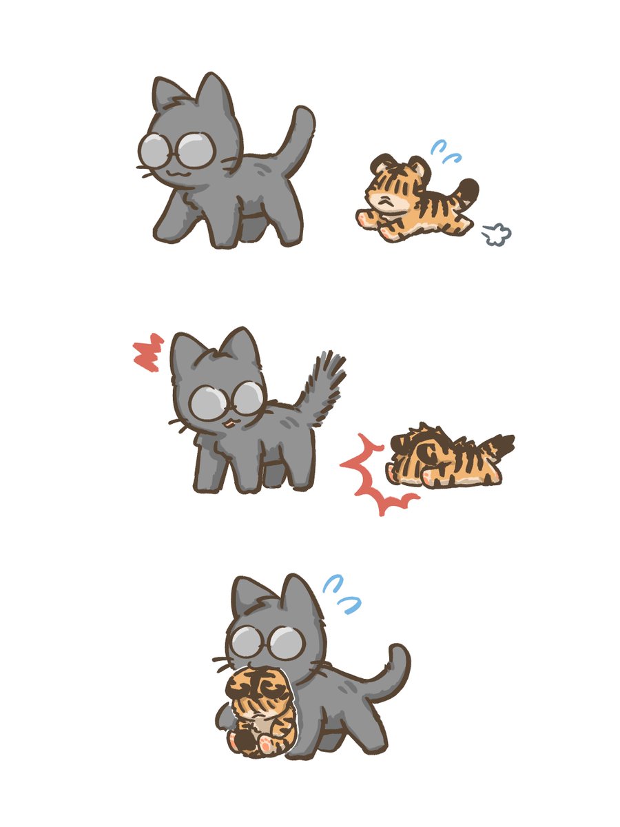 C-Cat แมว 🐈⬛ tweet media