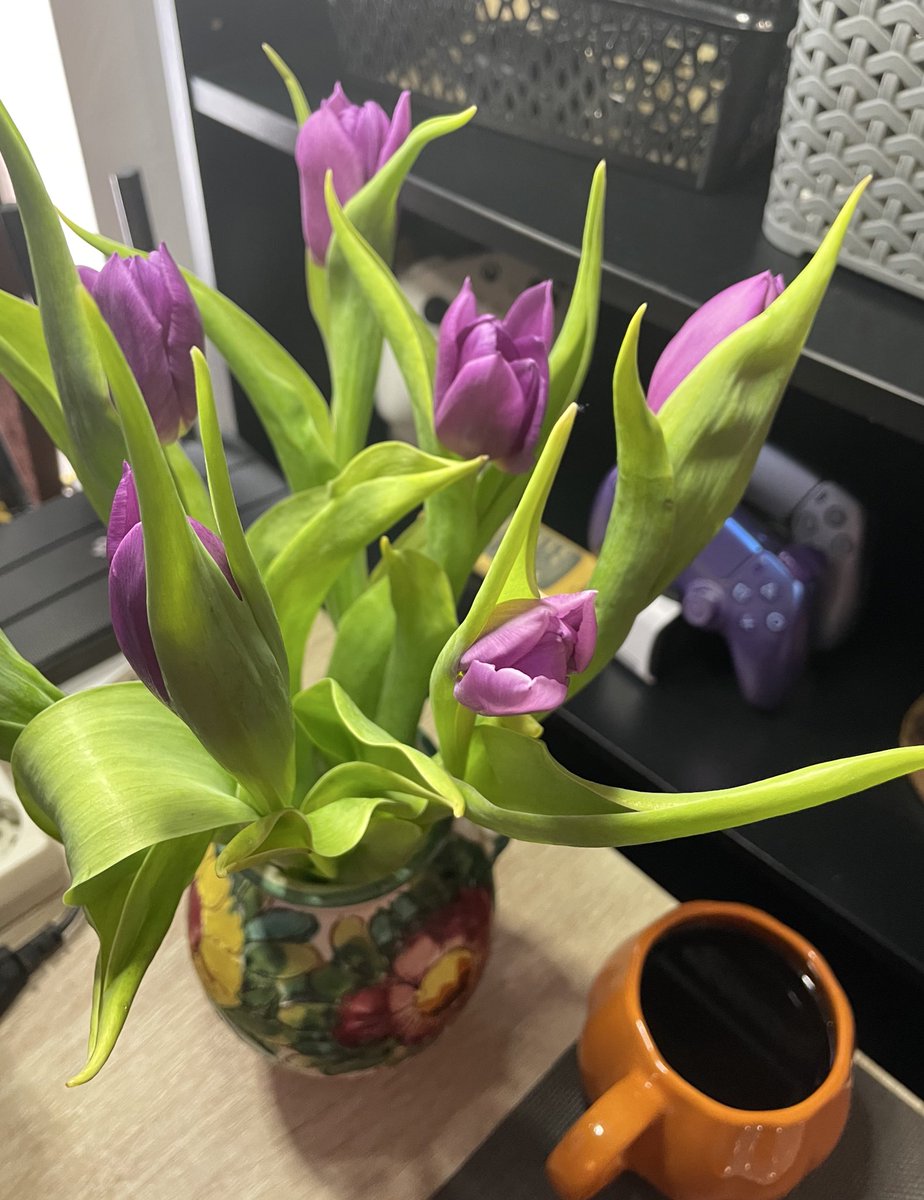 Elena Carter tweet media