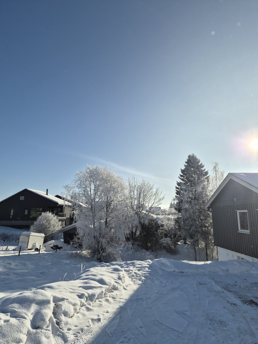 SolviLuna tweet media