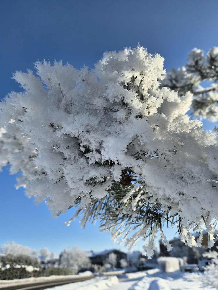 SolviLuna tweet media