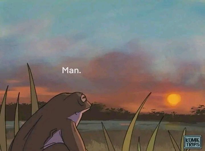 Dompteur tweet media