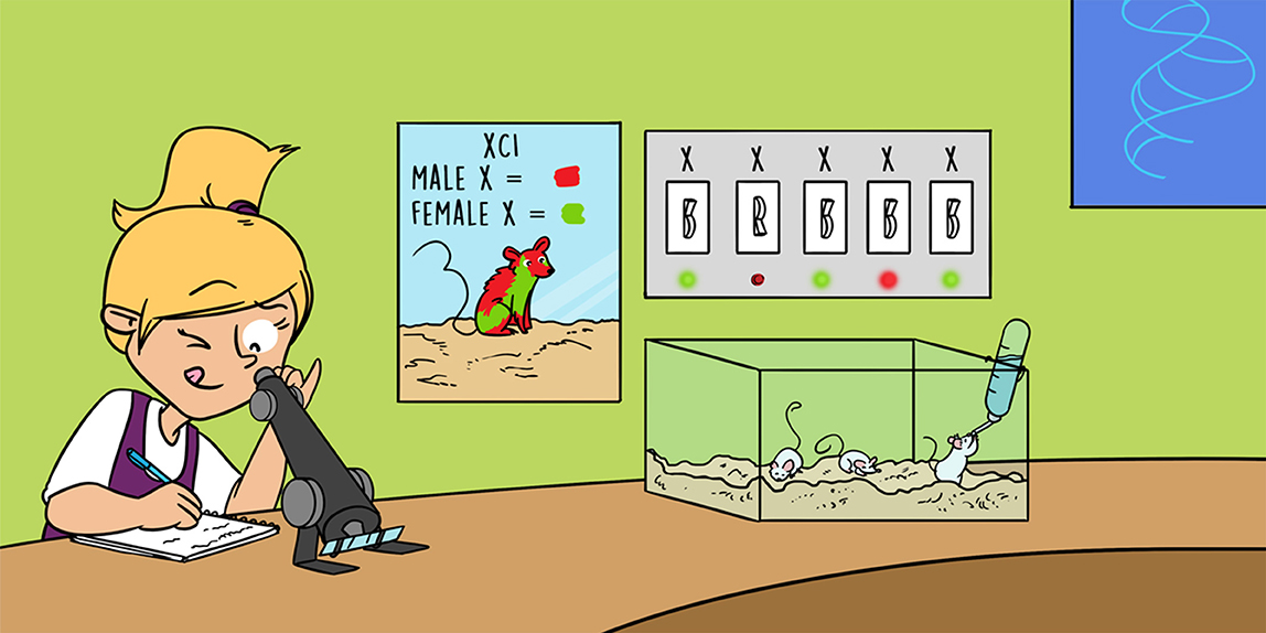 פרונטירז - מדע לצעירים tweet media