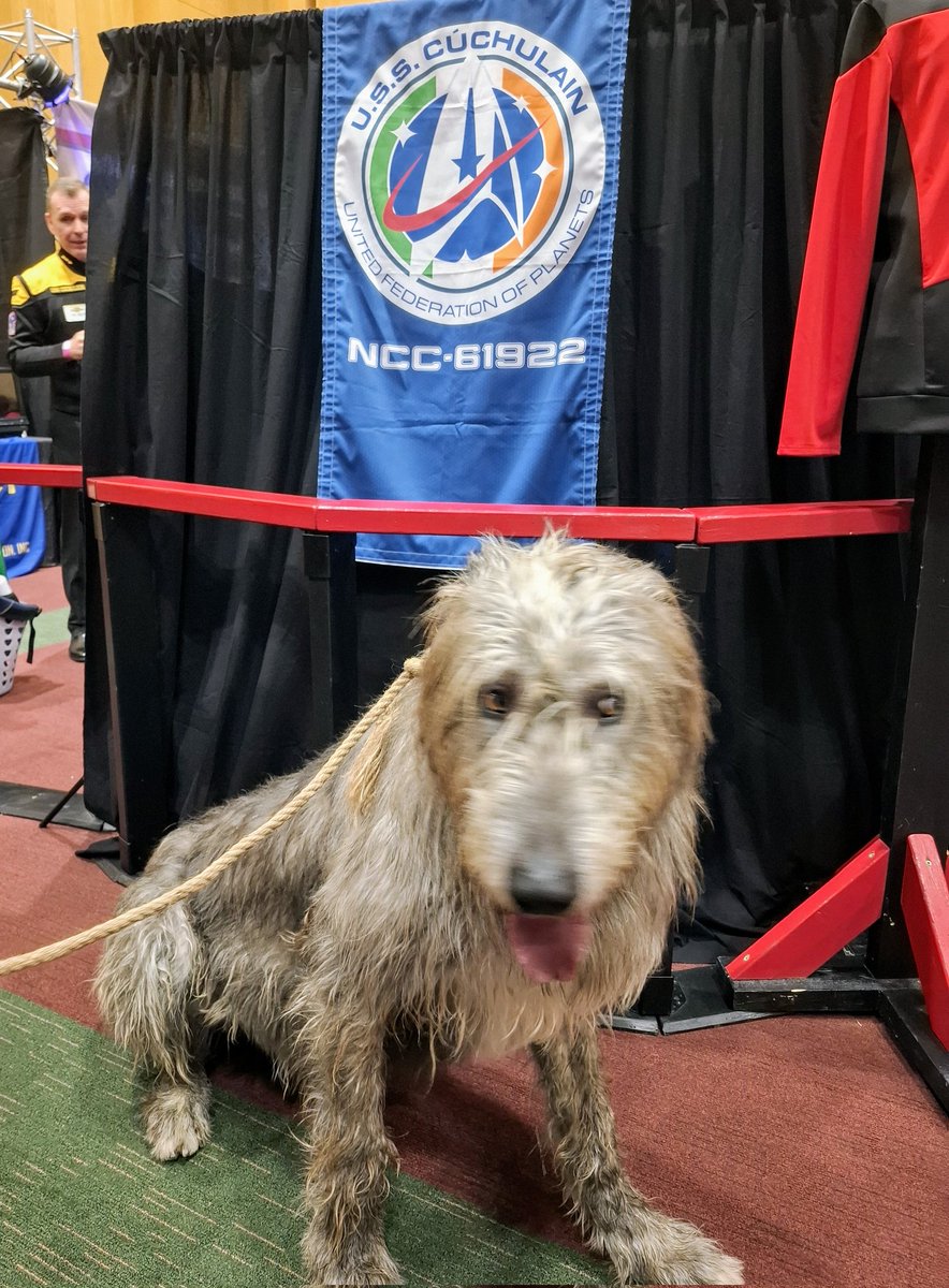 USS CúChulain Star Trek fan club 🇮🇪☘️ tweet media