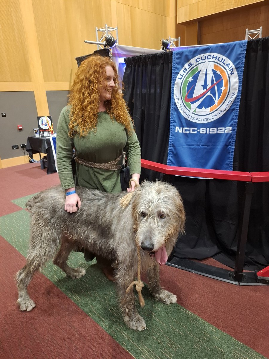USS CúChulain Star Trek fan club 🇮🇪☘️ tweet media