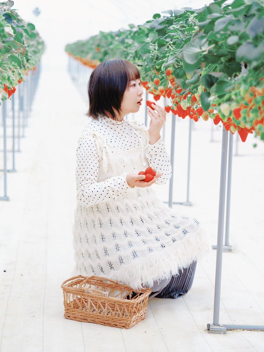 moomo_pi's tweet photo. いちご狩り🍓
 #momo_p https://t.co/hEZ0FvK6zL