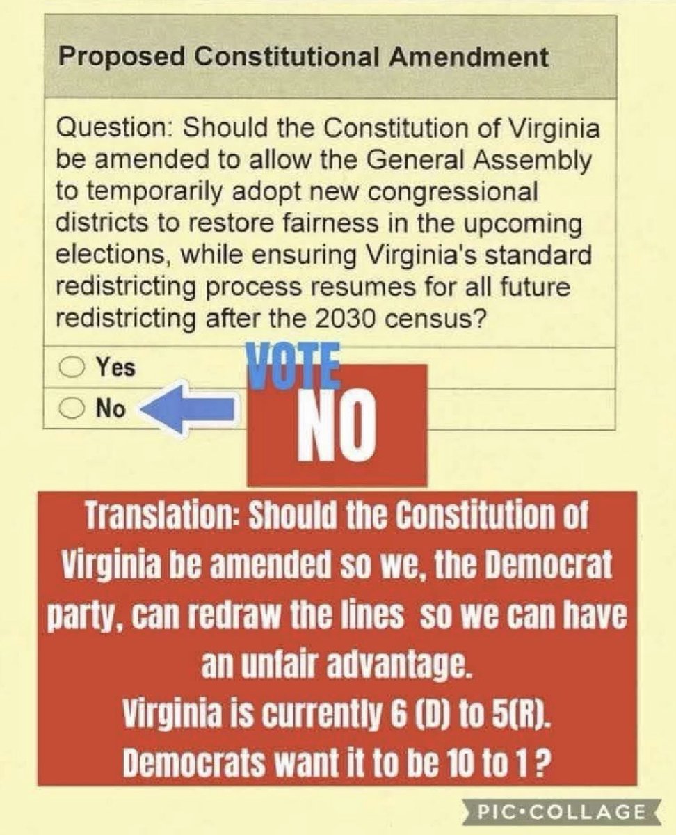 Julie4Virginia's tweet photo. Keep showing this flyer to voters!!! https://t.co/gHIq2Zhjlv