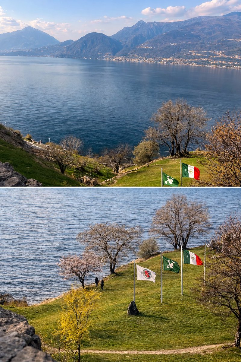 Myra Wang tweet media