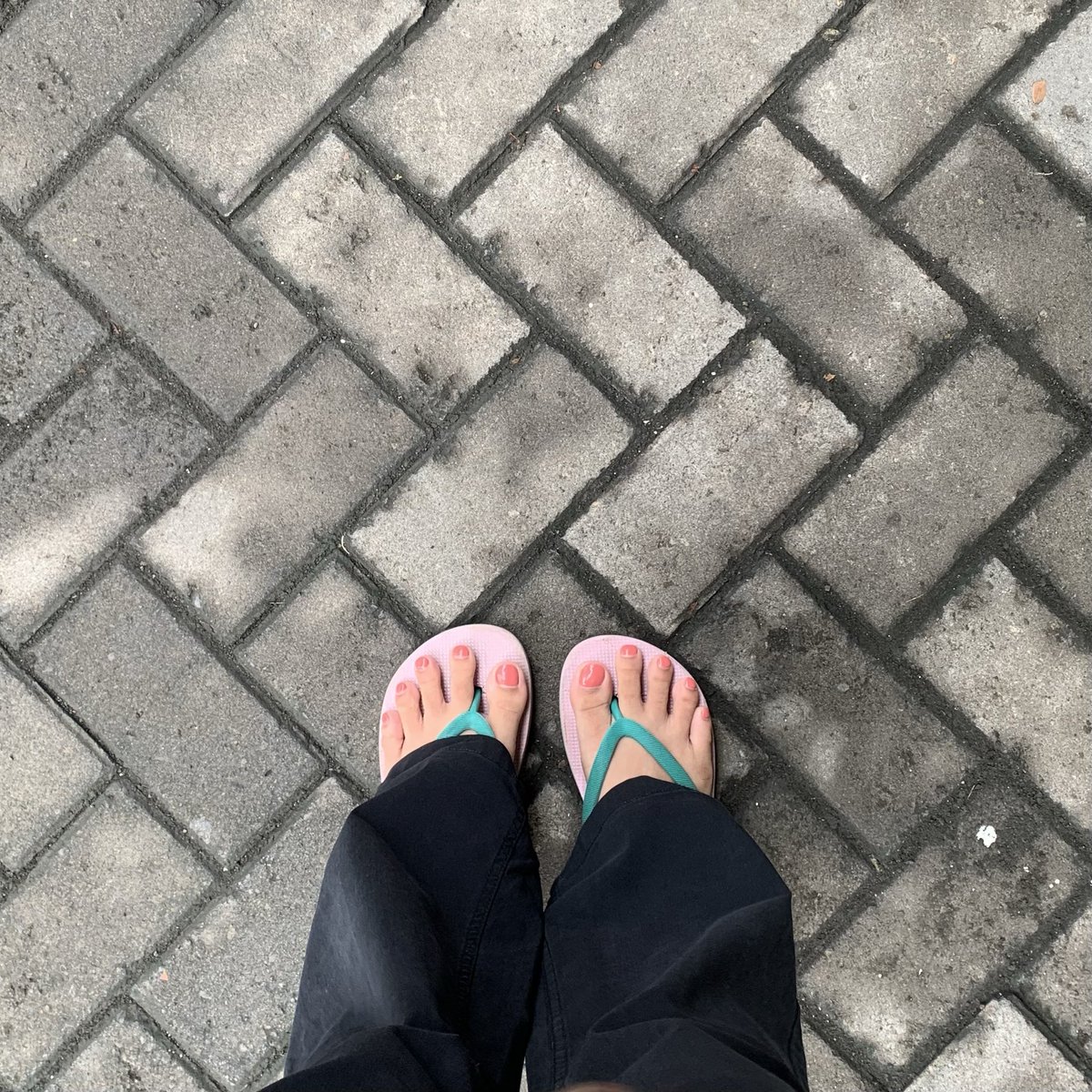 เซลซ่า tweet media