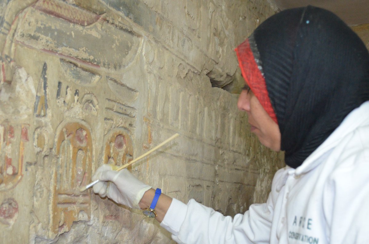 American Research Center in Egypt tweet media