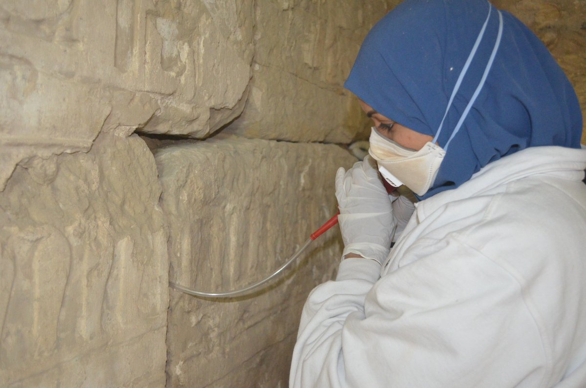 American Research Center in Egypt tweet media