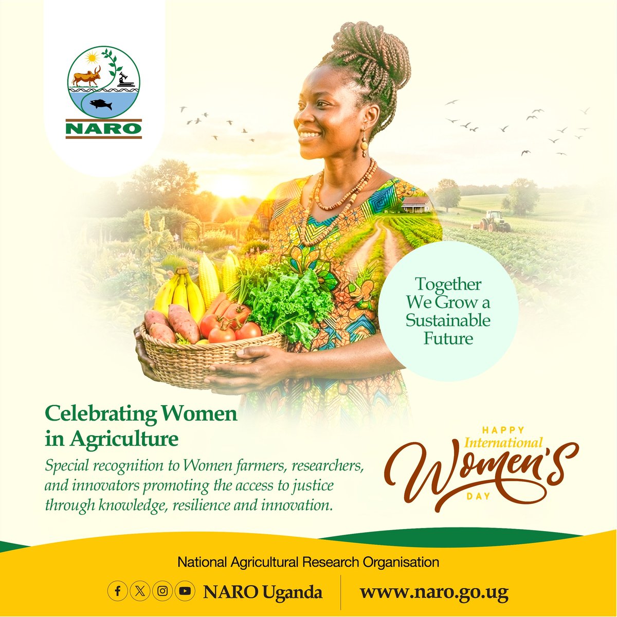 Frank Mugabi tweet media