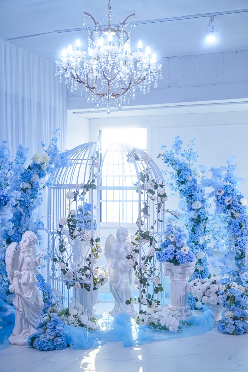 프론테라 스튜디오 tweet media