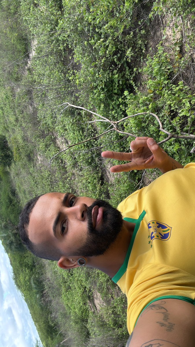 Baianodotado tweet media