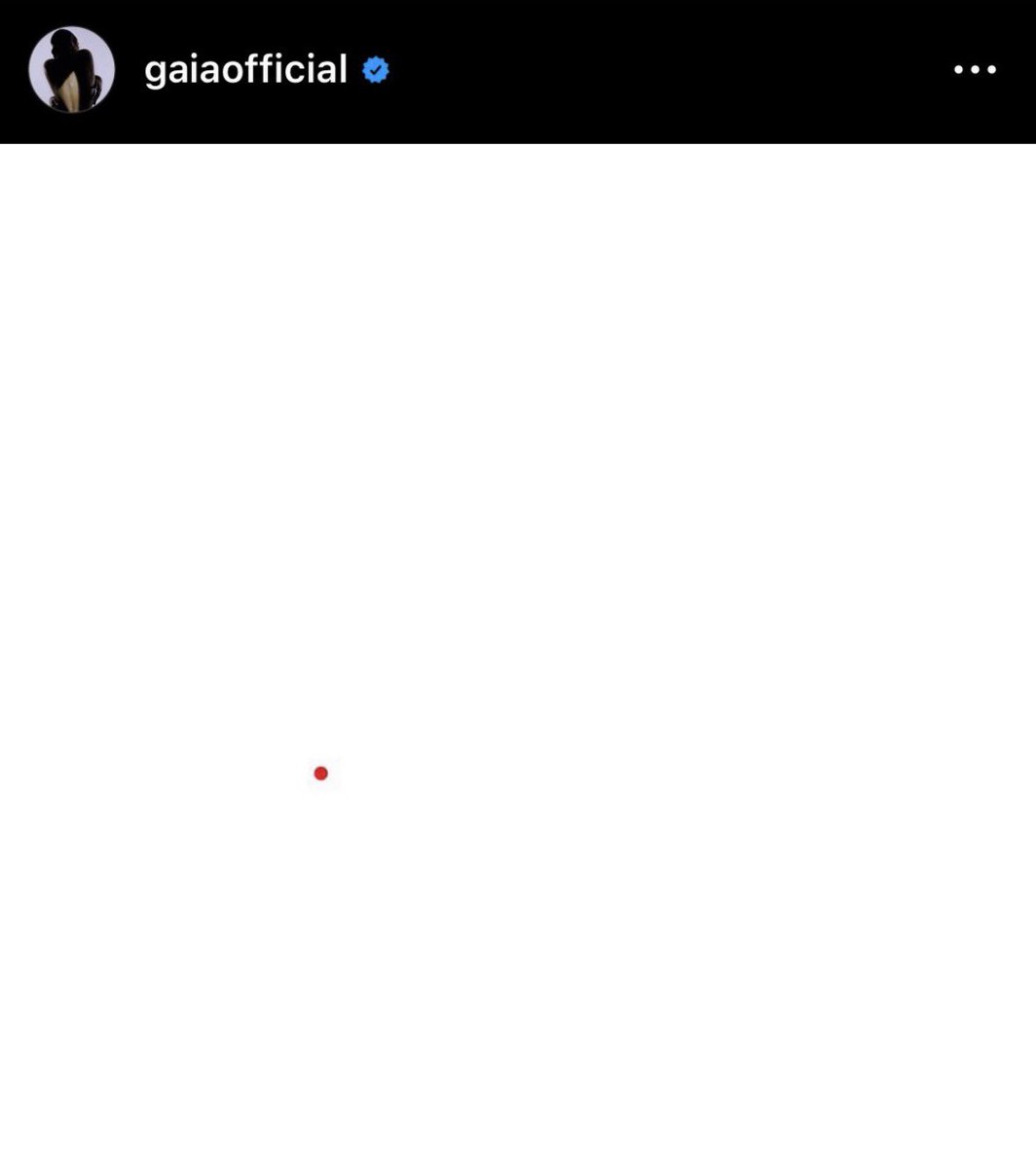 Gaia Gozzi archive tweet media