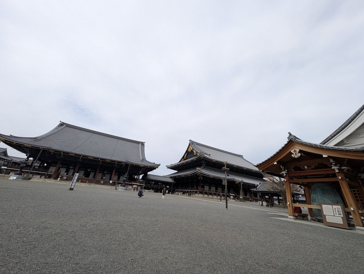 7995s2's tweet photo. 学会参加してよかったです！観光も少しできました！551の豚饅を実家に届けたら父が心の底から美味しそうに食べてくれたことが大満足でした😊 https://t.co/Sly0LlLcKF