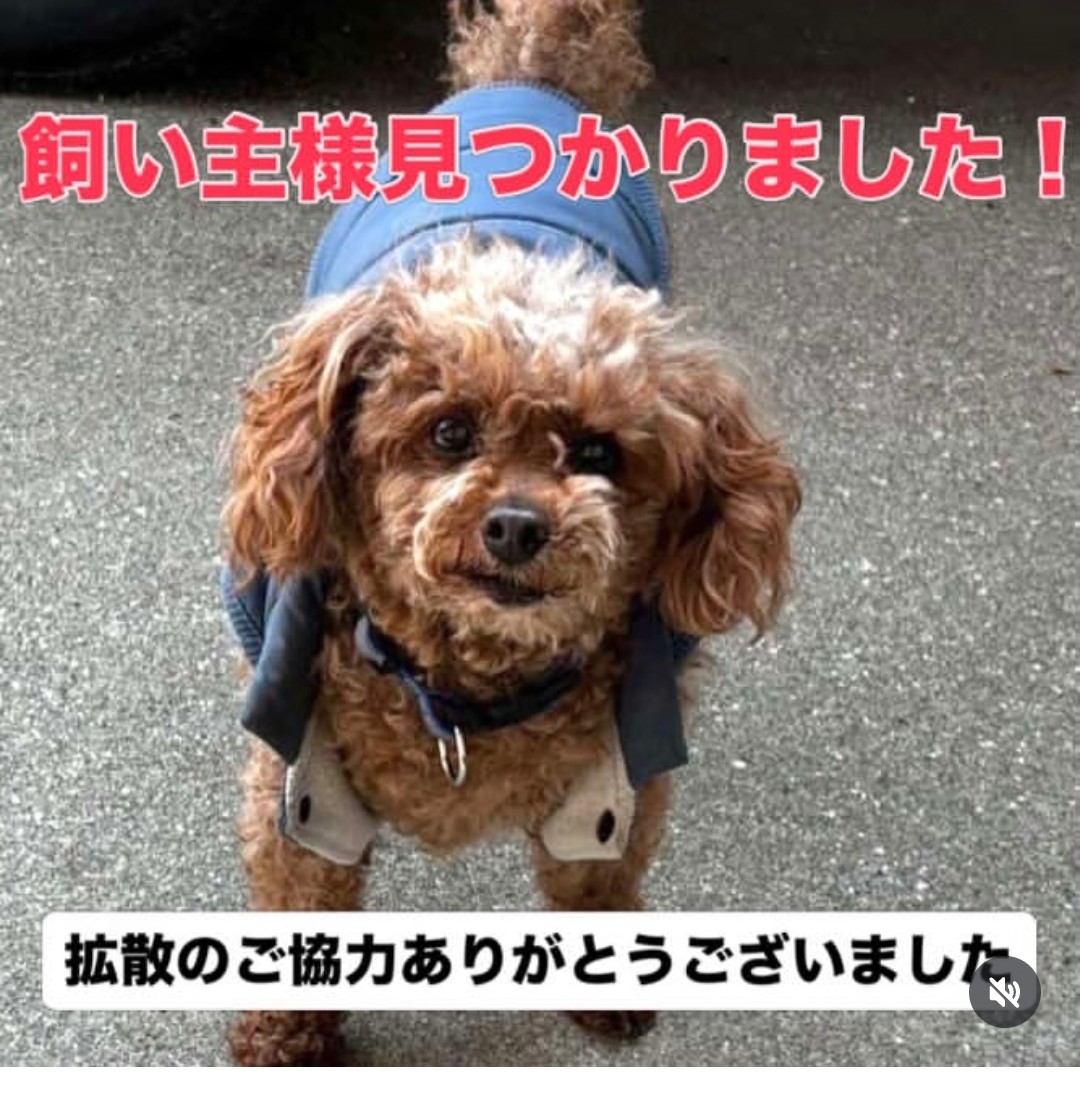 動物愛護団体 縁-en- tweet media