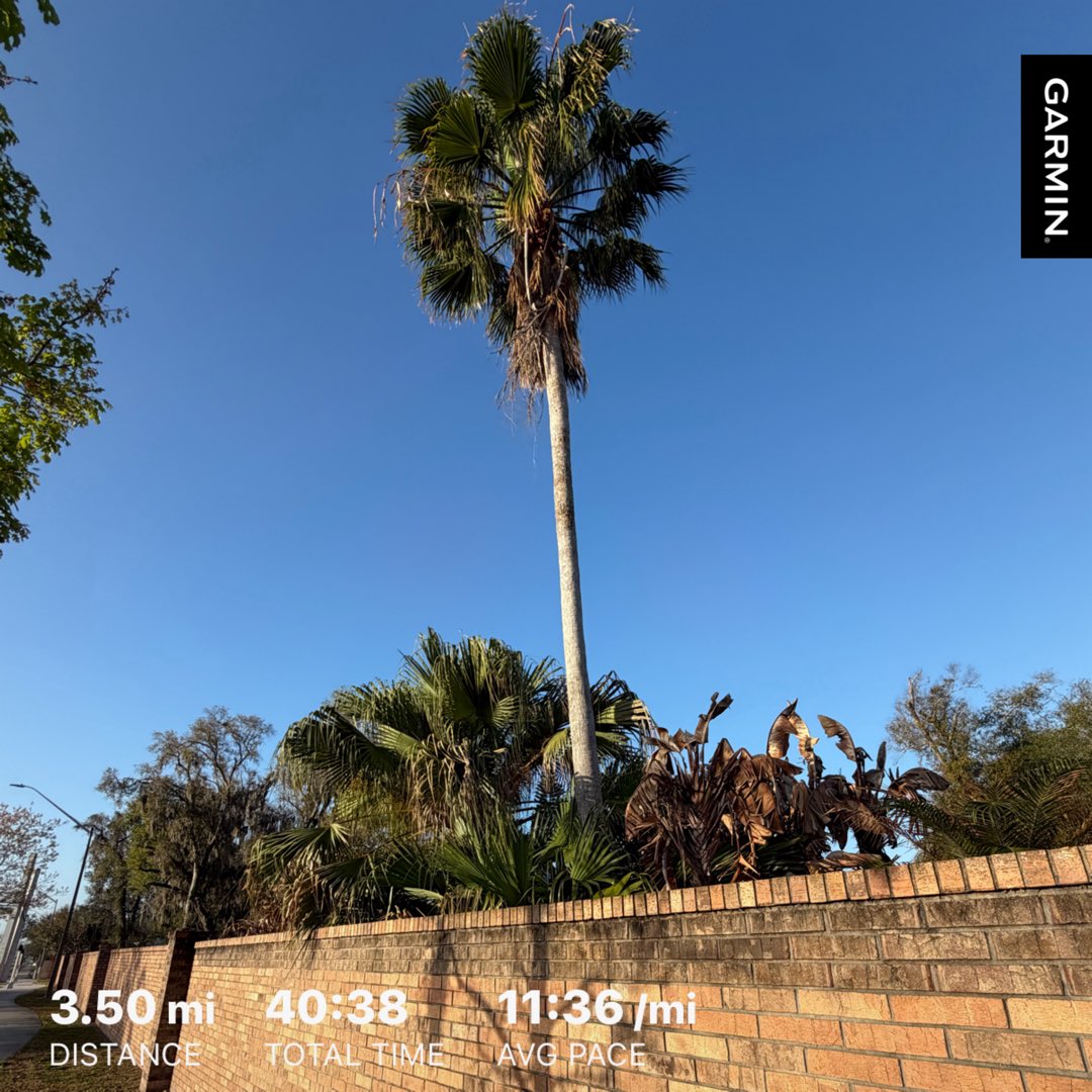 JohnBostonRowe's tweet image. A beautiful morning to get some slow miles in… 

#FloridaRunner #DailyRunner #SunriseRunner #KeepMoving

#RunningStreak: 2257 days