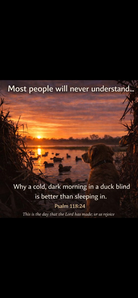 Jay White tweet media