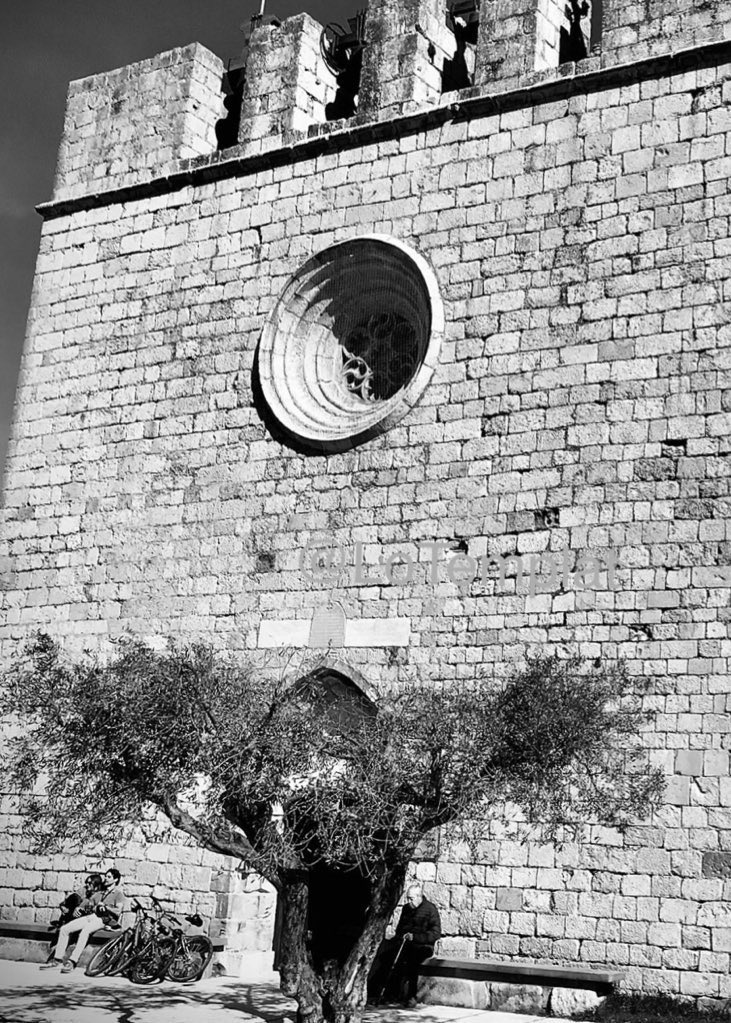 Joan Alonso tweet media