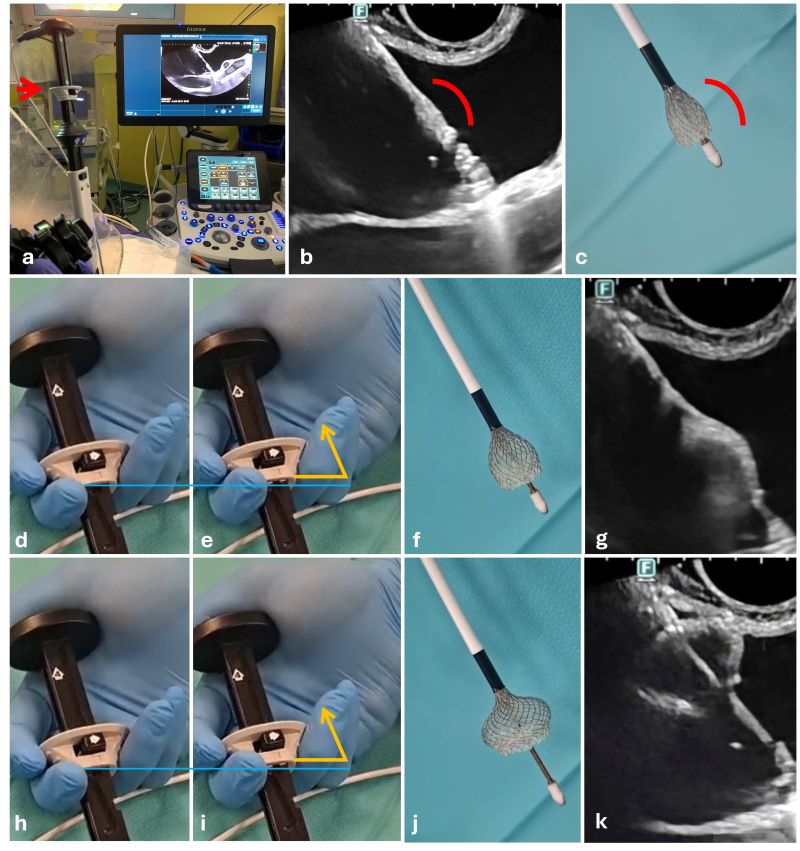 Giuseppe Vanella tweet media