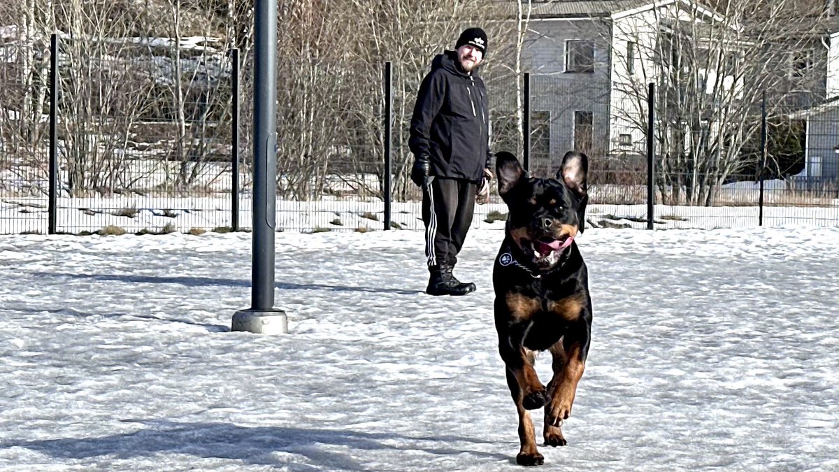 Kimma Rotikka tweet media