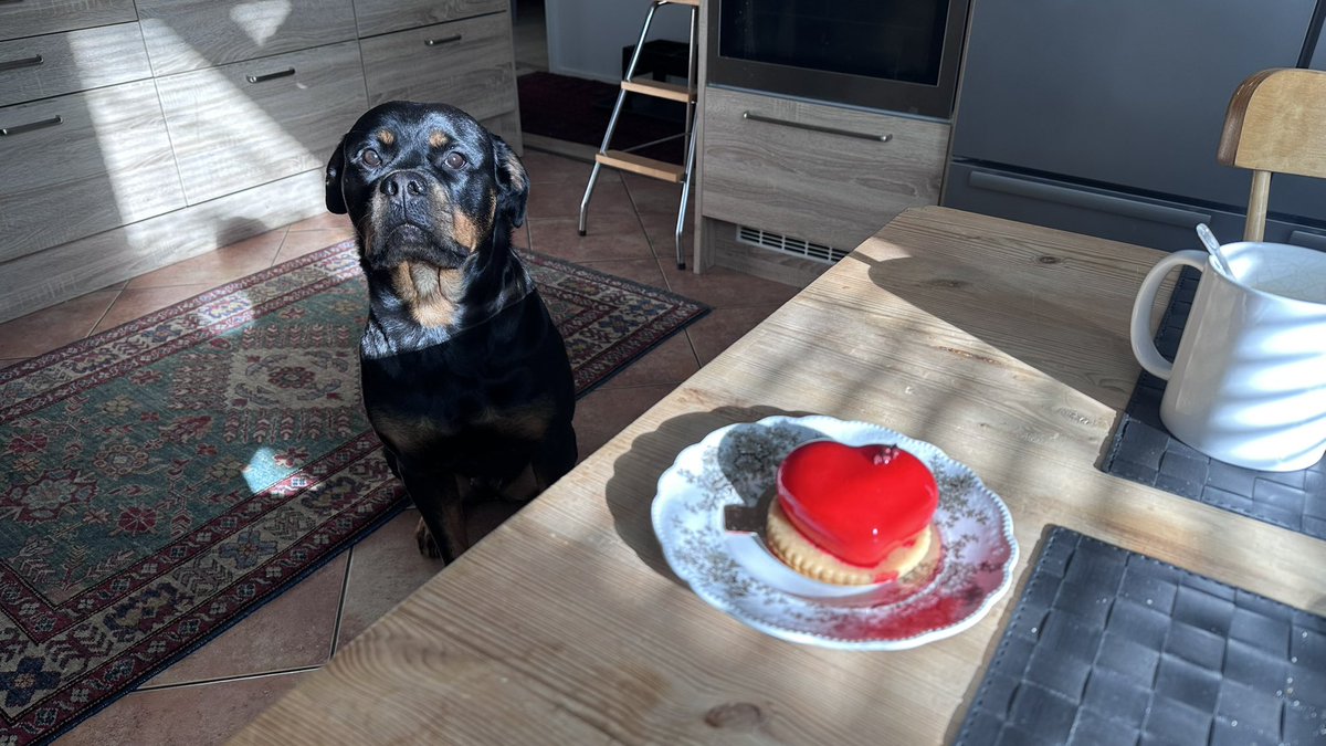 Kimma Rotikka tweet media