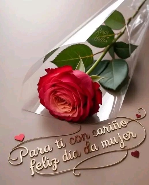 comunicador_dme's tweet photo. El éxito de una mujer está en su mente positiva, valor, la fuerza y su belleza. Siéntanse orgullosa de ser quienes son y luchen por sus sueños y capacidad de todo. Por ser tan especial les deseo un excelente día! #DiaInternacionalDeLaMujer https://t.co/ZIG8TpOMge