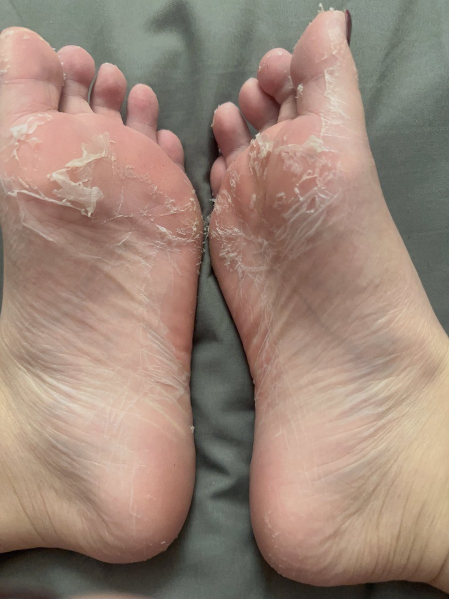 婲惹fa tweet media