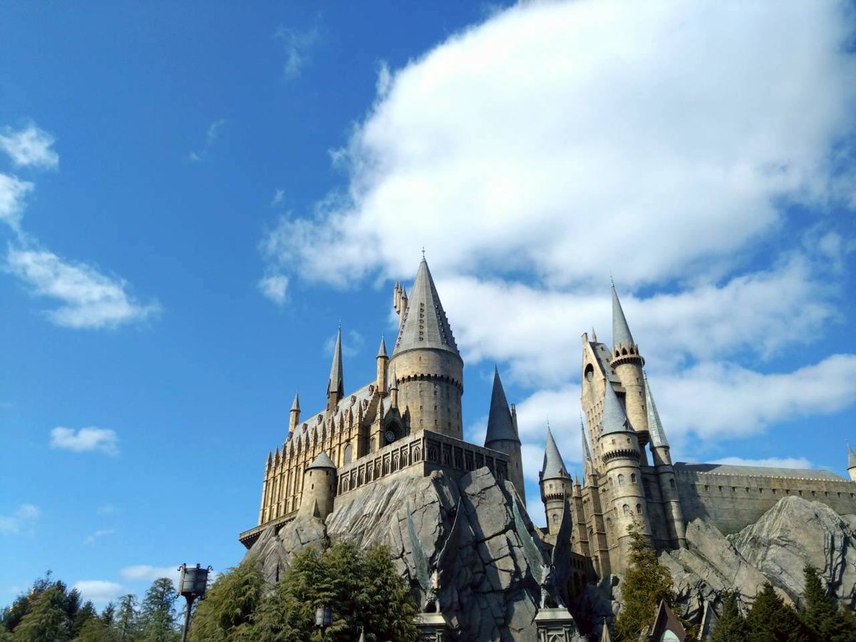 せいや🍨🗼 tweet media